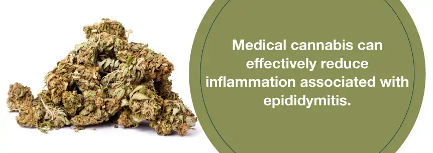 marijuana anti-inflammation