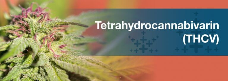Tetrahydrocannabivarin (THCV)