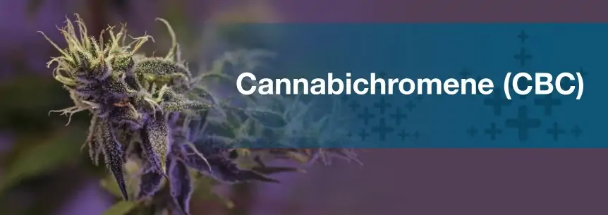 what is cannabichromene