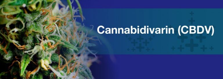 Cannabidivarin (CBDV)