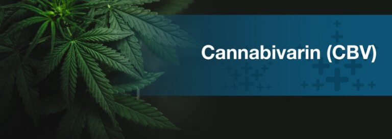 Cannabivarin (CBV)