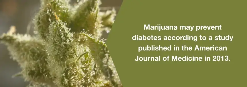 marijuana diabetes help