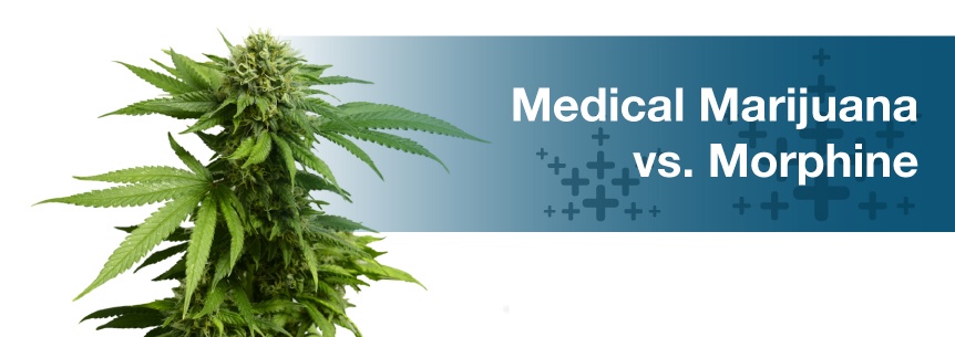 Medical Marijuana vs. Morphine