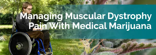 Managing Muscular Dystrophy Pain with Medical Marijuana