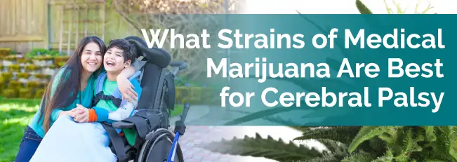 Strains of Medical Marijuana for Cerebral Palsy