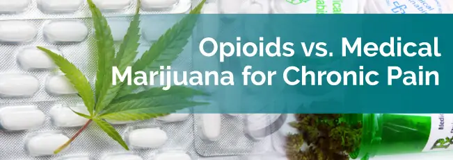Opioids vs. Medical Marijuana for Chronic Pain