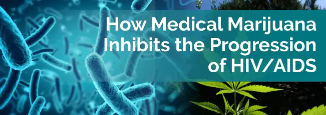 How Medical Marijuana Inhibits the Progression of HIV/AIDS