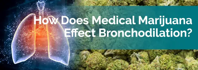 How Does Medical Marijuana Effect Bronchodilation?