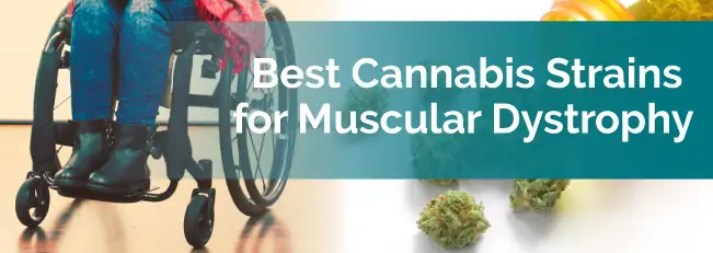 Best Cannabis Strains for Muscular Dystrophy