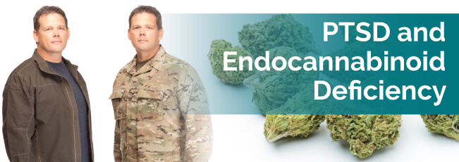 PTSD & Endocannabinoid Deficiency