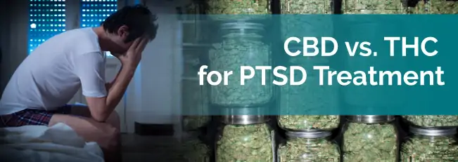 Cannabidiol vs. THC for PTSD Treatment