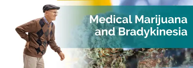 Medical Marijuana & Bradykinesia