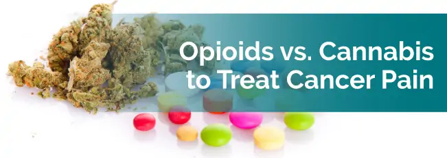 Opioids vs. Cannabis to Treat Cancer Pain