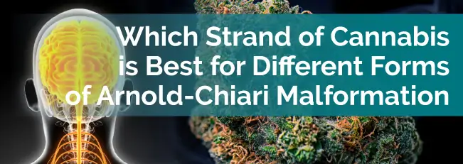Which Strain of Cannabis Is Best for Different Forms of Arnold-Chiari Malformation?