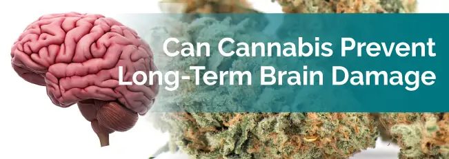 Can Cannabis Prevent Long-Term Brain Damage?