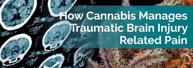 How Cannabis Manages Traumatic Brain Injury-Related Pain