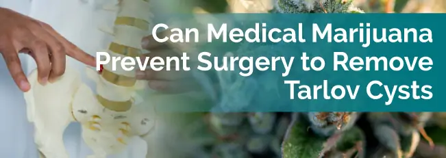 Can Medical Marijuana Prevent Surgery to Remove Tarlov Cysts?