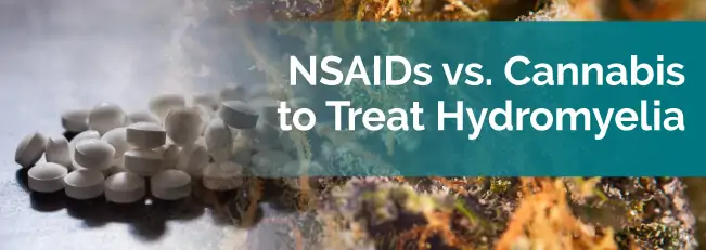 NSAIDs vs. Cannabis to Treat Hydromyelia