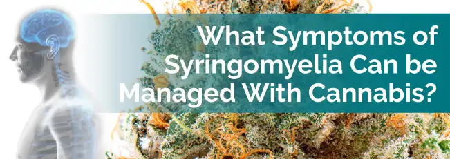 What Symptoms of Syringomyelia Can Be Managed With Cannabis?