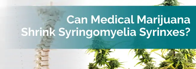 Can Medical Marijuana Shrink Syringomyelia Syrinxes?
