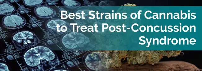 Best Strains of Cannabis to Treat Post-Concussion Syndrome Best Strains of Cannabis to Treat Post-Concussion Syndrome