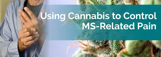 Using Cannabis to Control MS-Related Pain