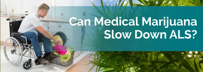 Can Medical Marijuana Slow Down ALS?