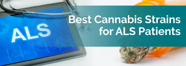 Best Cannabis Strains for ALS Patients