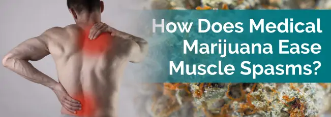 How Does Medical Marijuana Ease Muscle Spasms?