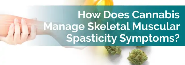 How Does Cannabis Manage Skeletal Muscular Spasticity Symptoms?