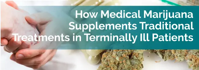 How Medical Marijuana Supplements Traditional Treatments in Terminally Ill Patients