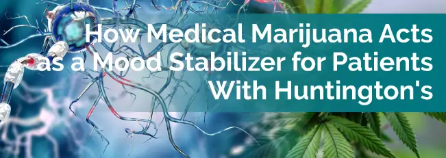 How Medical Marijuana Acts as a Mood Stabilizer for Patients with Huntington's