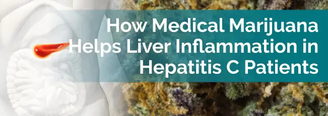 How Medical Marijuana Helps Liver Inflammation in Hepatitis C Patients