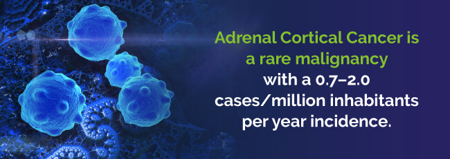 adrenal cortical cancer statistic