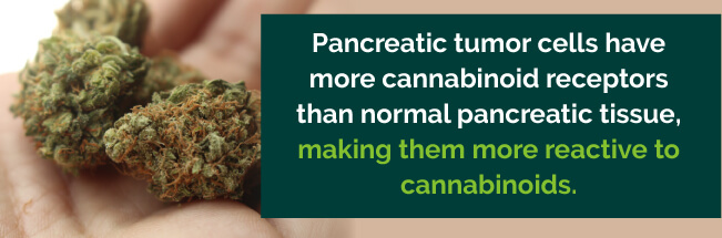 pancreatic tumor cells and cannabinoid receptors