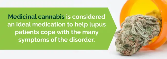 cannabis and lupus
