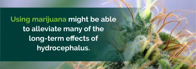 Marijuana to treat Hydrocephalus 