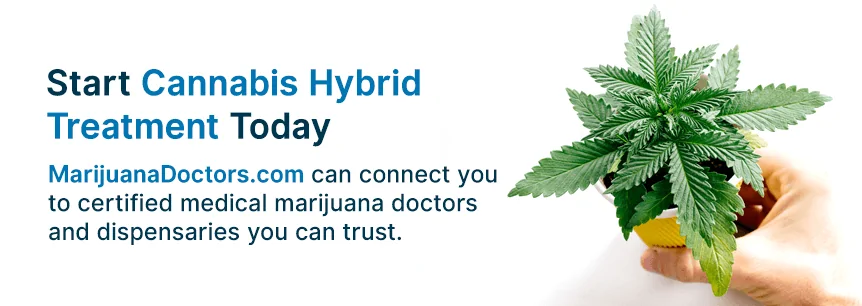 cannabis hybrid treatment