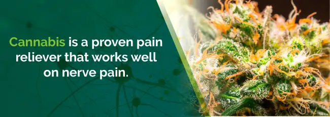 Cannabis as a pain reliever