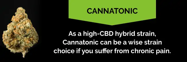 Cannatonic for chronic pain