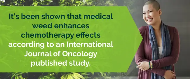 Studies show medical marijuana enhances chemo effects