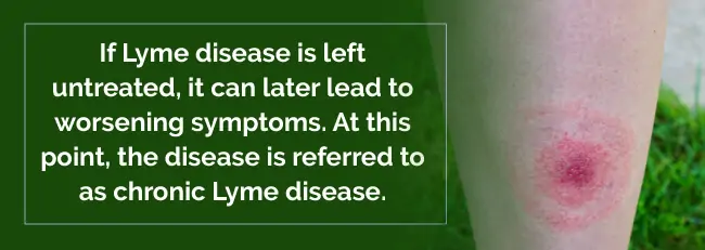 chronic lyme disease