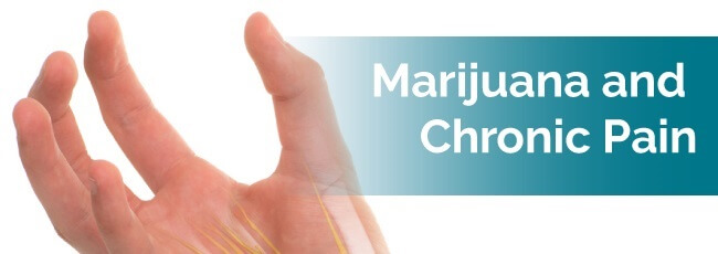 Marijuana and chronic pain