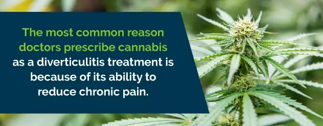 marijuana is prescribed for chronic pain 