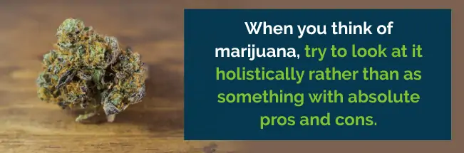 look at marijuana holistically 