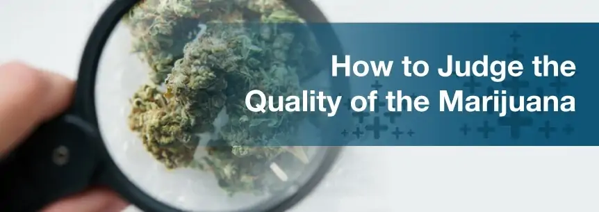 judge marijuana quality