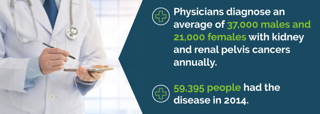 annual statistics for kidney cancer