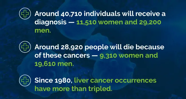 liver cancer statistics