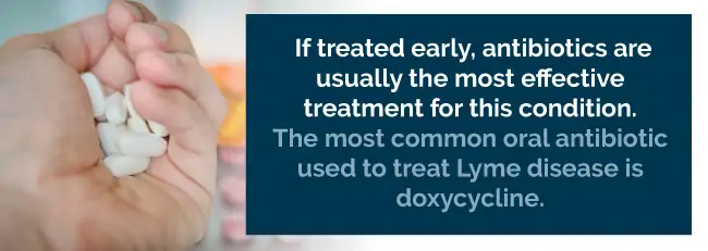 lyme disease treatment