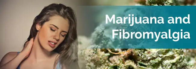 marijuana and fibromyalgia